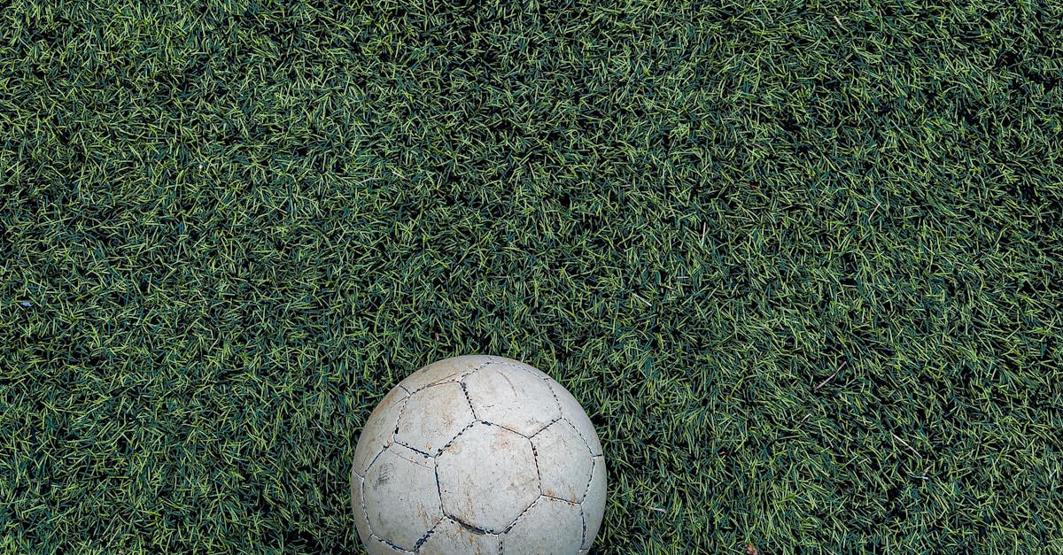 Choosing the Right Synthetic Turf for Optimum Aesthetics